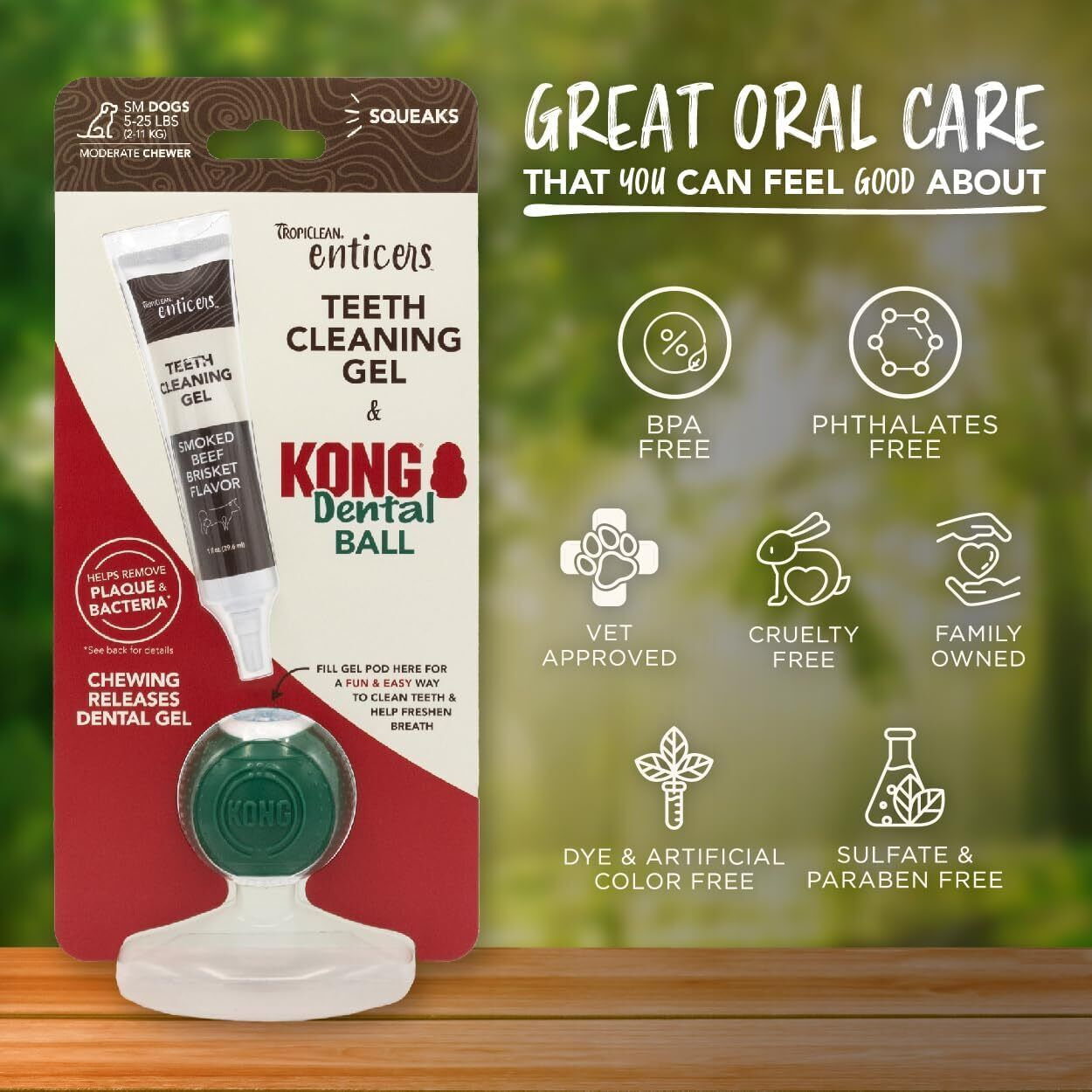 Kong Dental Kit