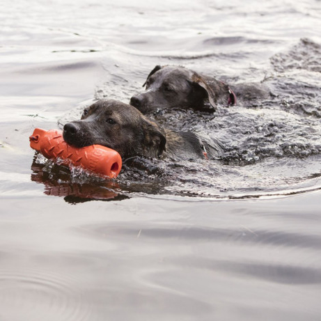 Training toy - KONG
