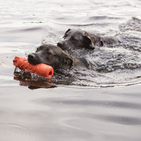 Training toy - KONG