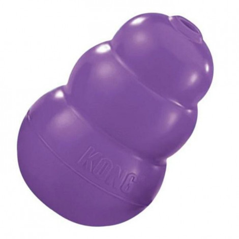 Kong senior
