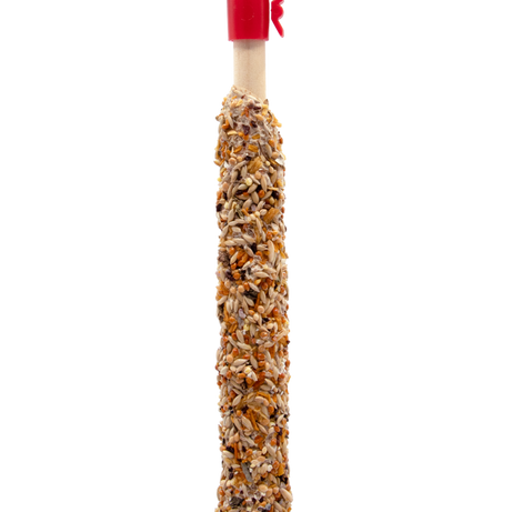 Sticks para Canários - Frutas e dente de leão