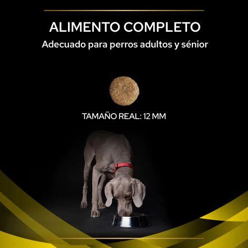 Pro Plan Veterinary Diets NC Neurocare 3 kg