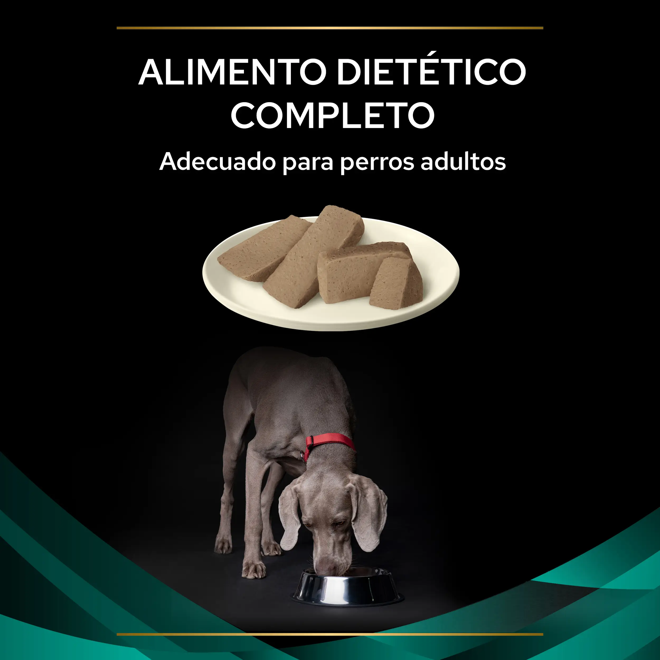 Purina Pro Plan Vet Diets EN Gastrointestinal Dog | 5kg