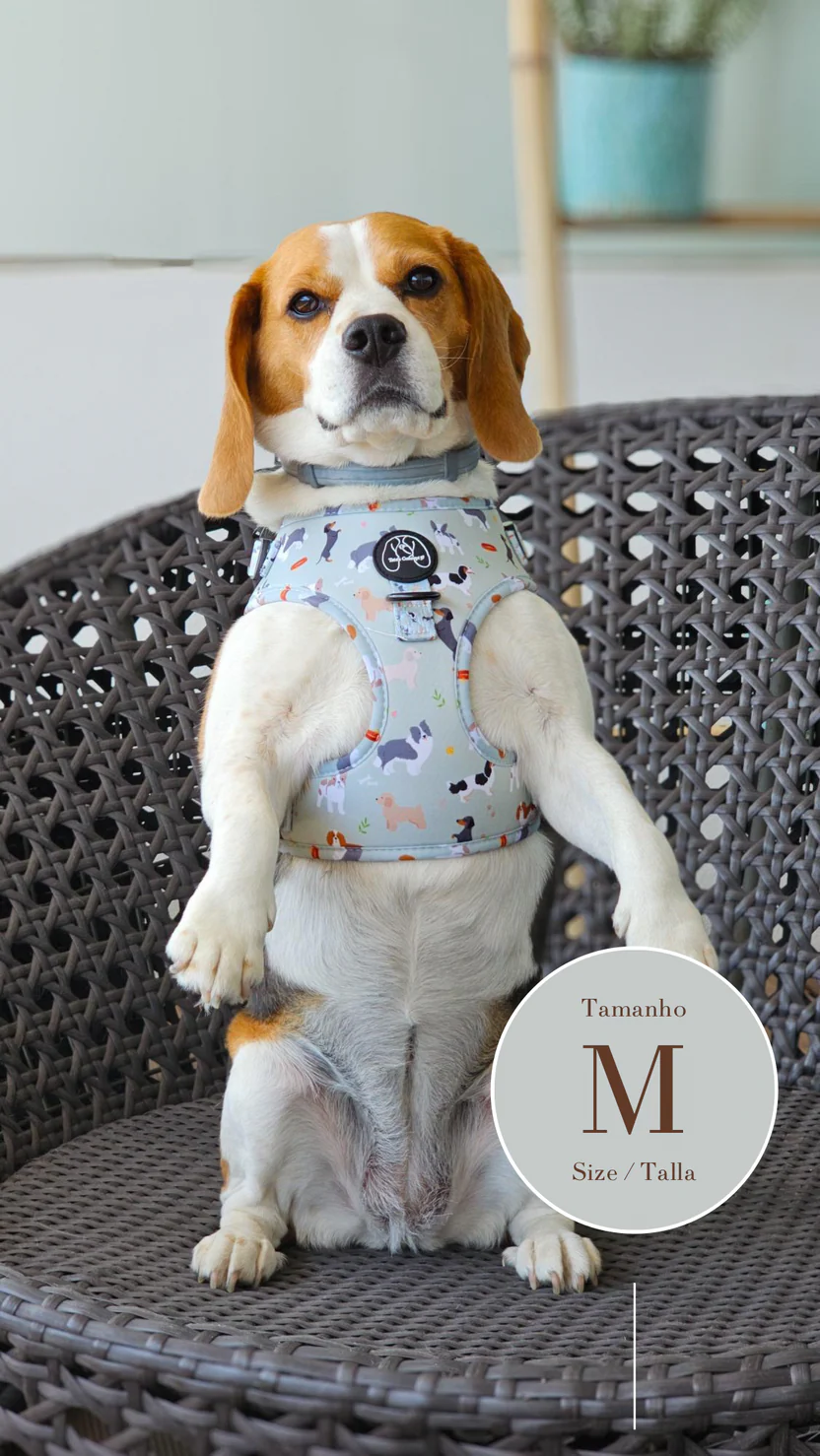 Puppy Lover Harness