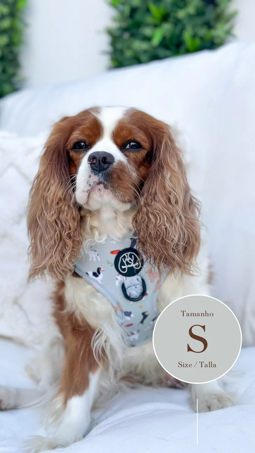 Puppy Lover Harness