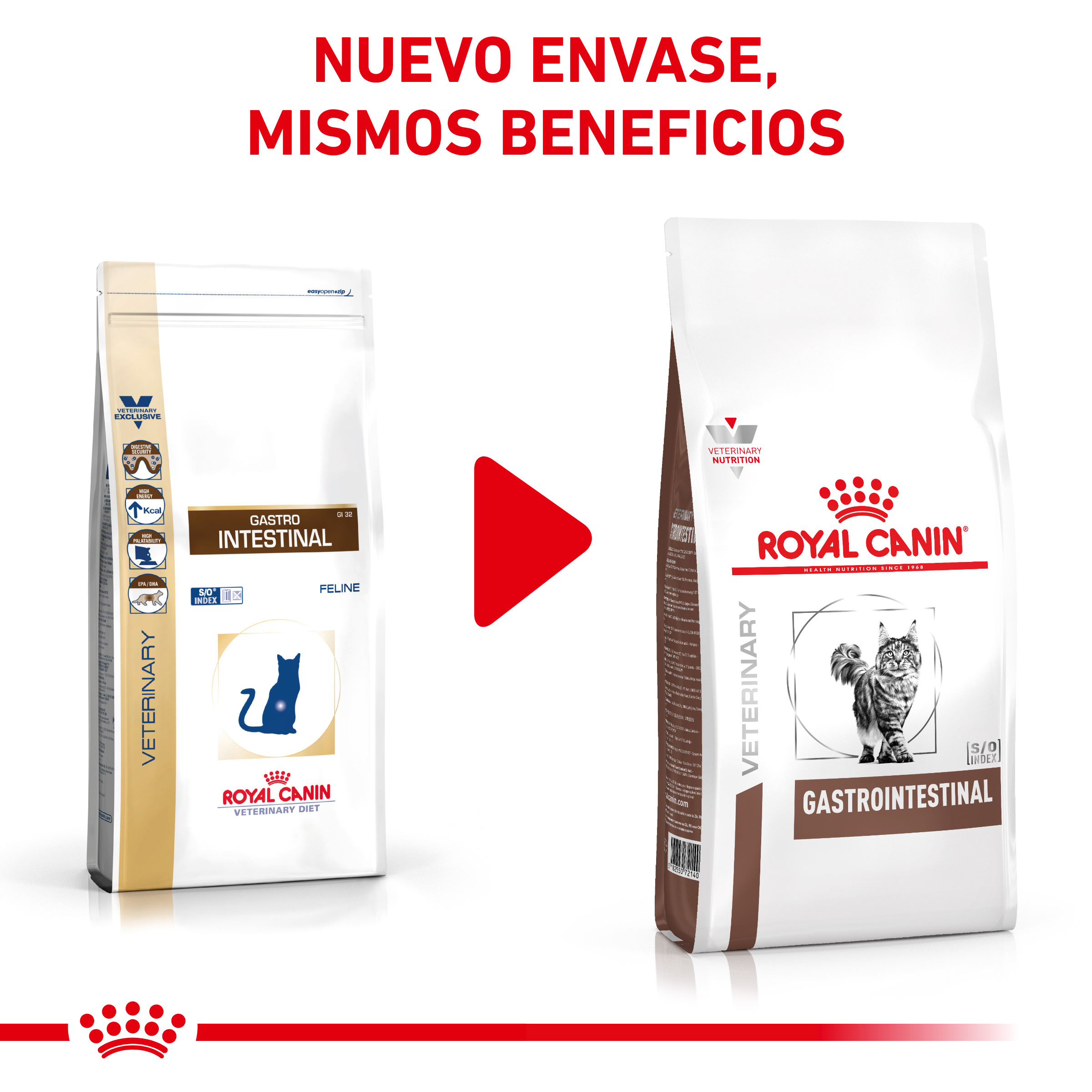 Royal Canin Cat Gastrointestinal