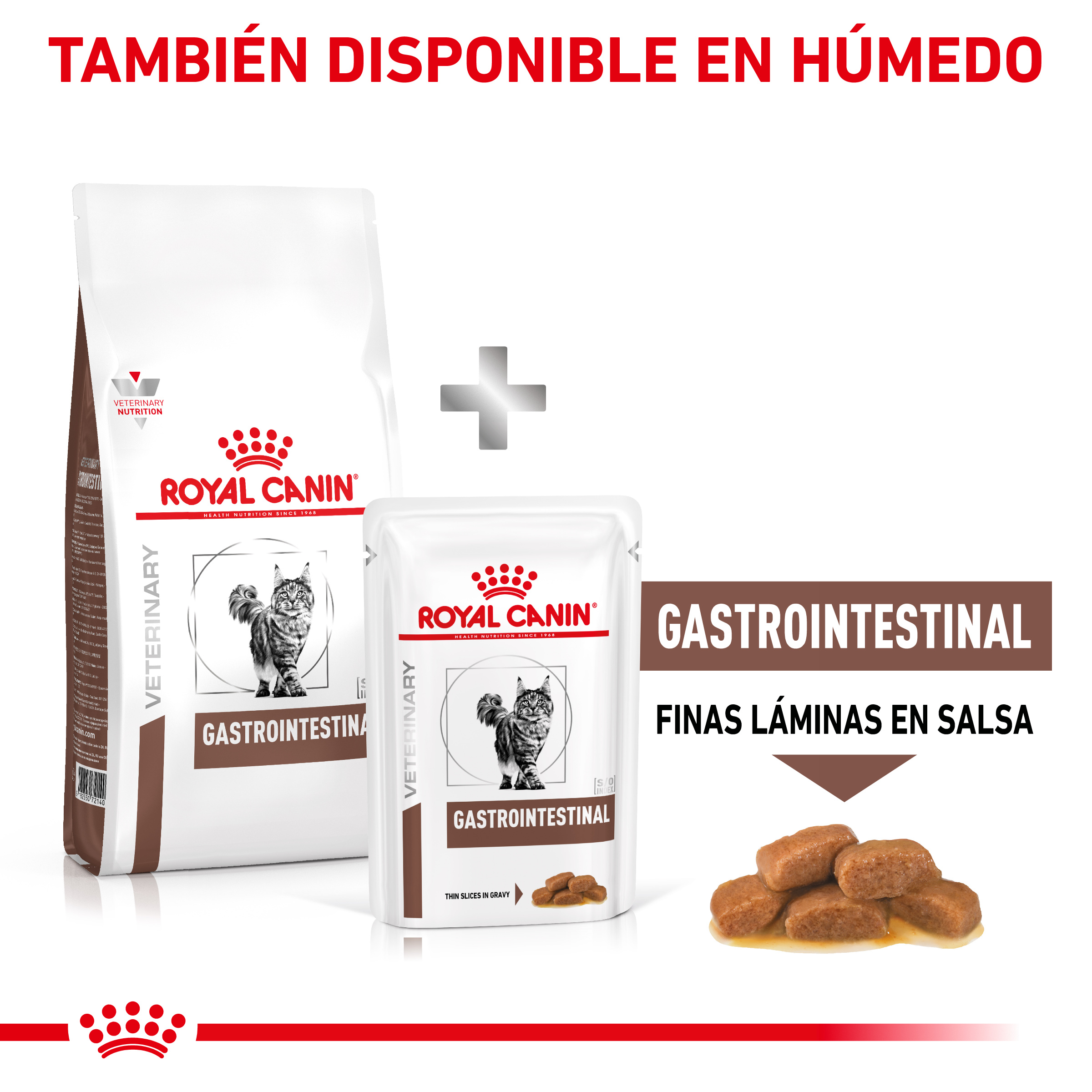Royal Canin Cat Gastrointestinal