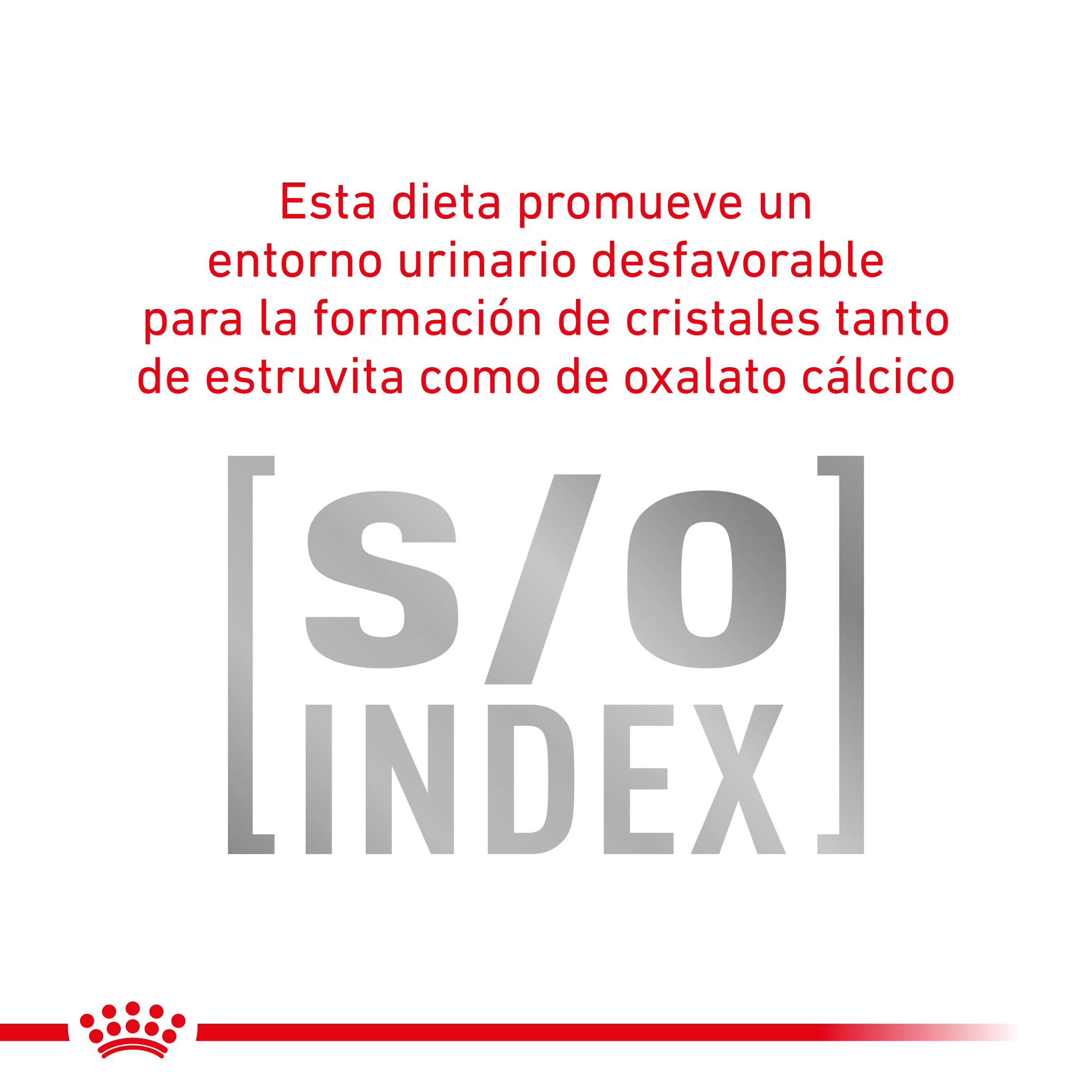 Royal Canin Cat Gastrointestinal