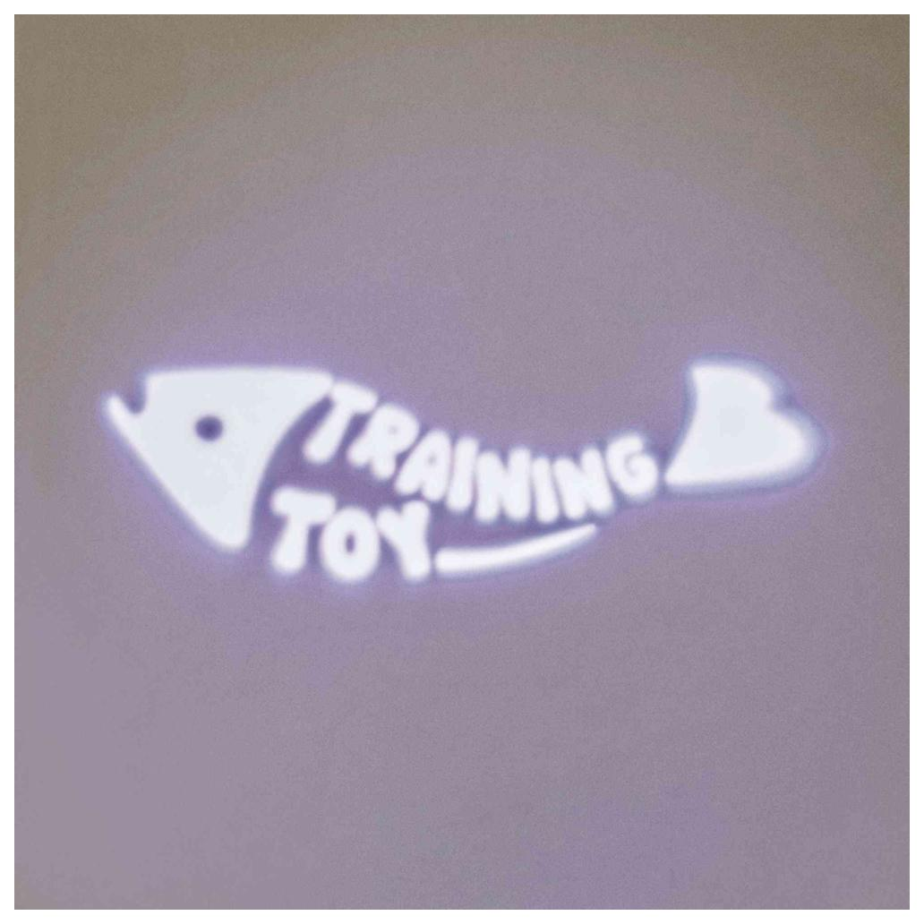 LED Pointer "CATCH THE LIGHT" FISH