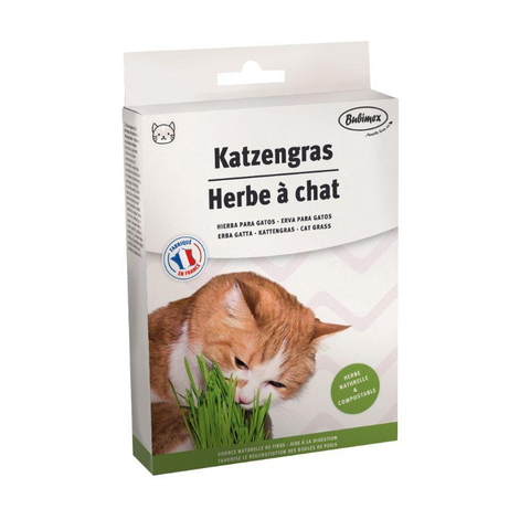 Bubimex Cat Grass 100 g