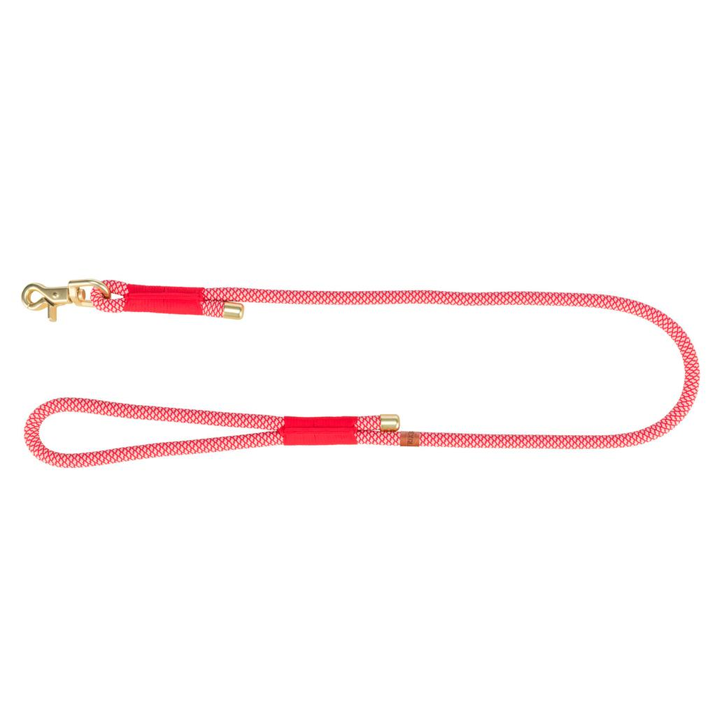 Correa ajustable Superlead de Red Dingo 