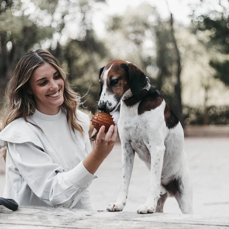 Juguete para perros - Hueso para frotar