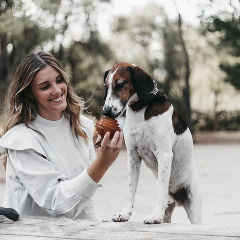 Juguete para perros - Hueso para frotar