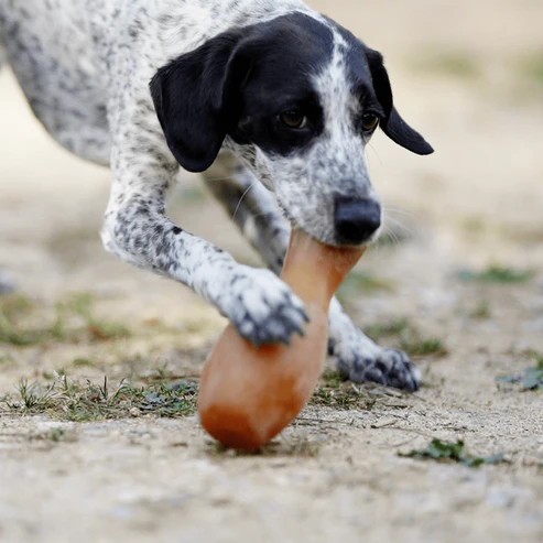 Brinquedo para cães -  Rub Flipper