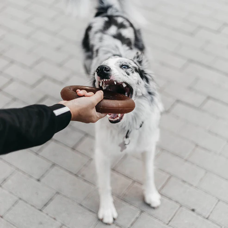 Brinquedo para cães - Rub Bite