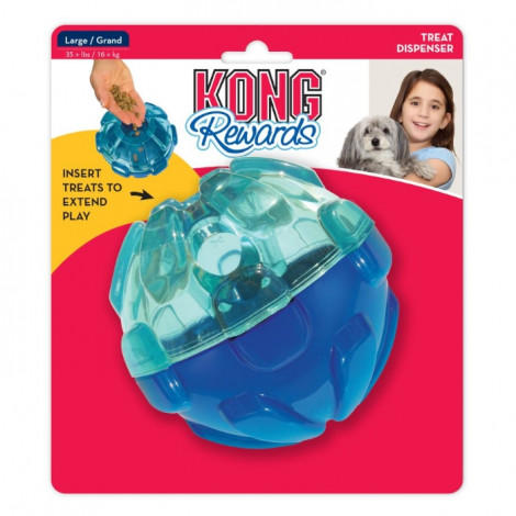 Kong rewards ball large