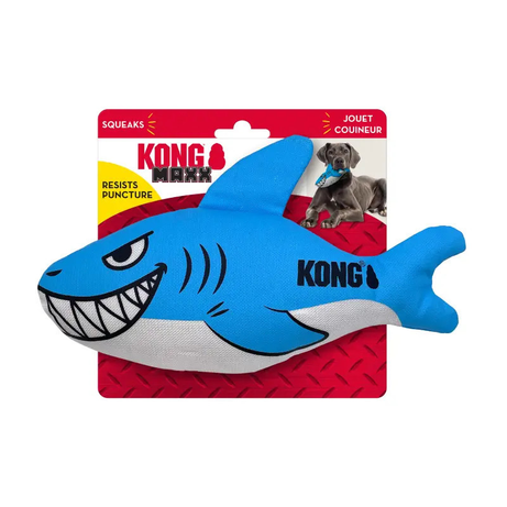 Kong maxx shark