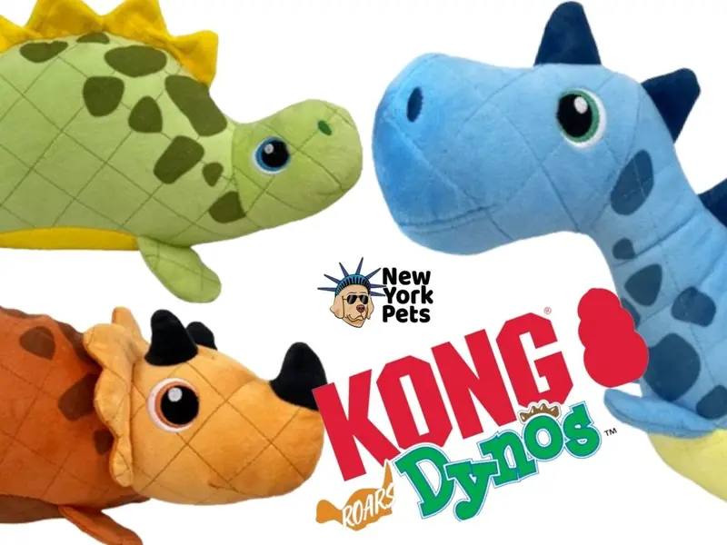 KONG Dynos Roars para Cães de Raças Médias e Grandes (Verde)