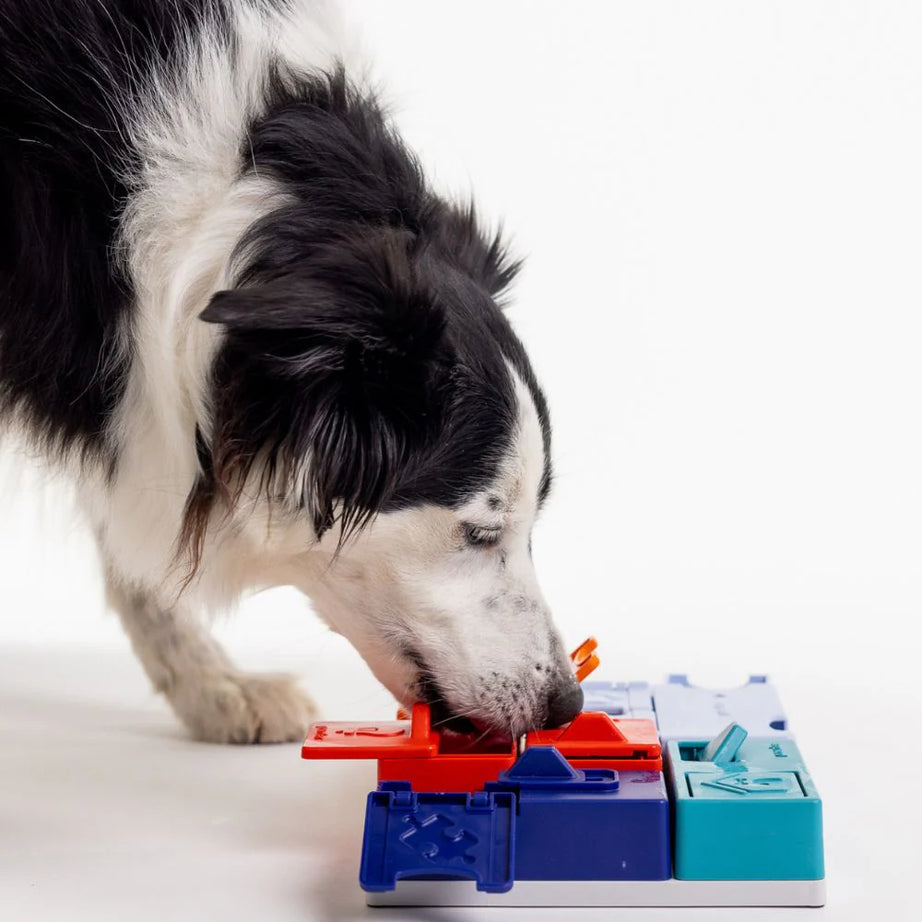 Puzzle Genius - PAWZLER