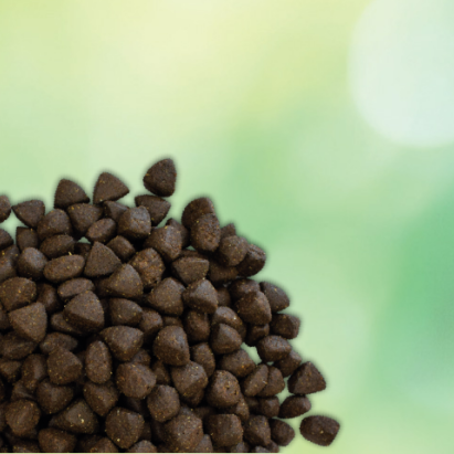 happyOne Premium Ração Hipoalergénico para Cães Adultos, Proteína de Inseto