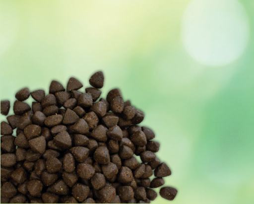 happyOne Premium Ração Hipoalergénico para Cães Adultos, Proteína de Inseto