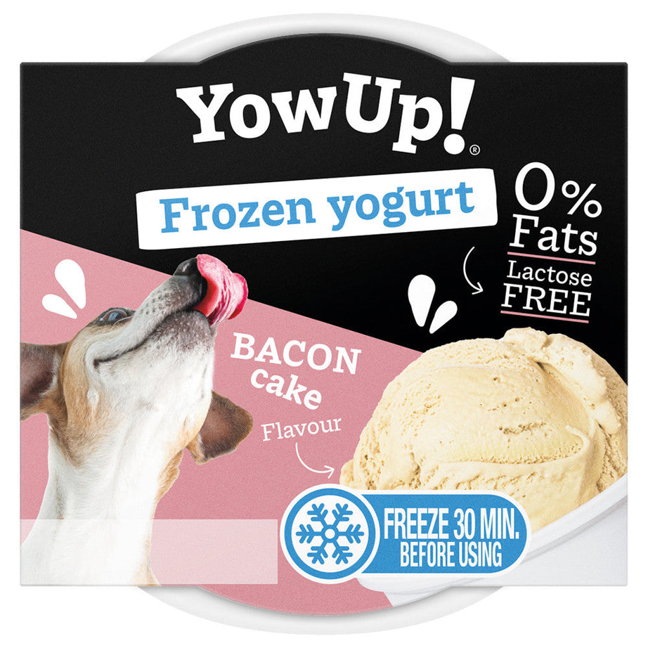 Bacon frozen yoghurt for dogs - YowUp!