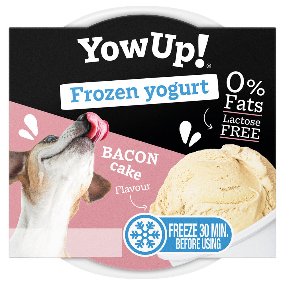 Bacon frozen yoghurt for dogs - YowUp!