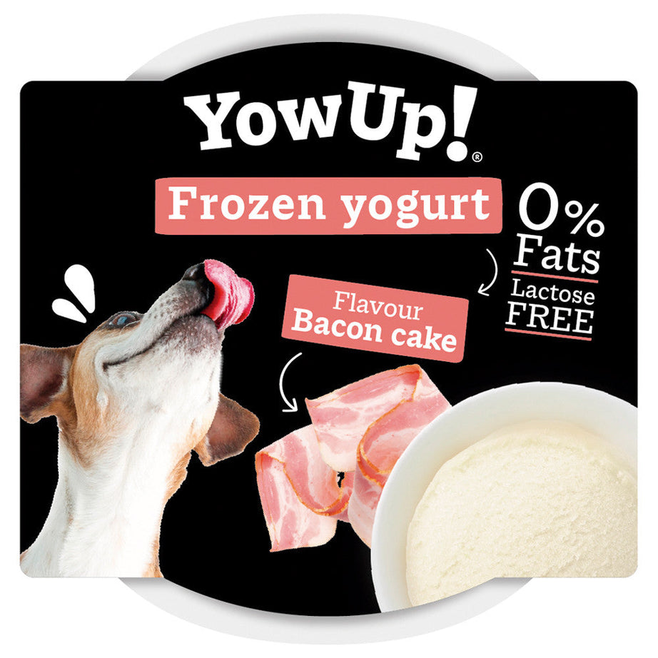 Bacon frozen yoghurt for dogs - YowUp!