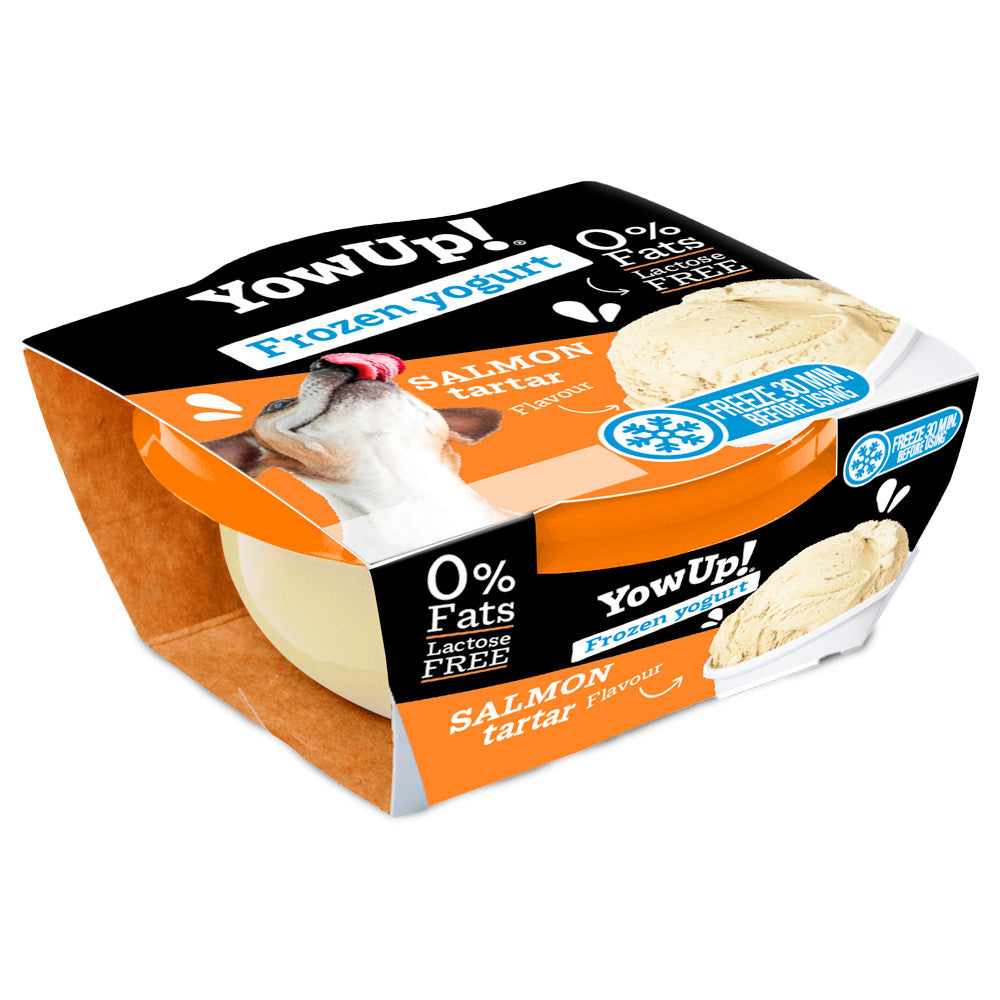 Salmon frozen yogurt for dogs - YowUp!