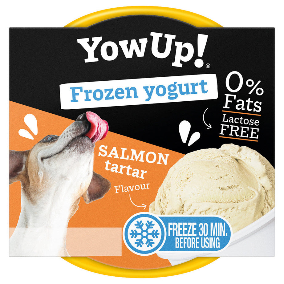 Salmon frozen yogurt for dogs - YowUp!