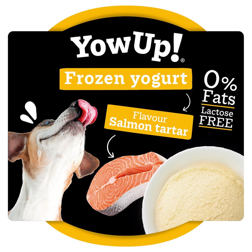 Salmon frozen yogurt for dogs - YowUp!