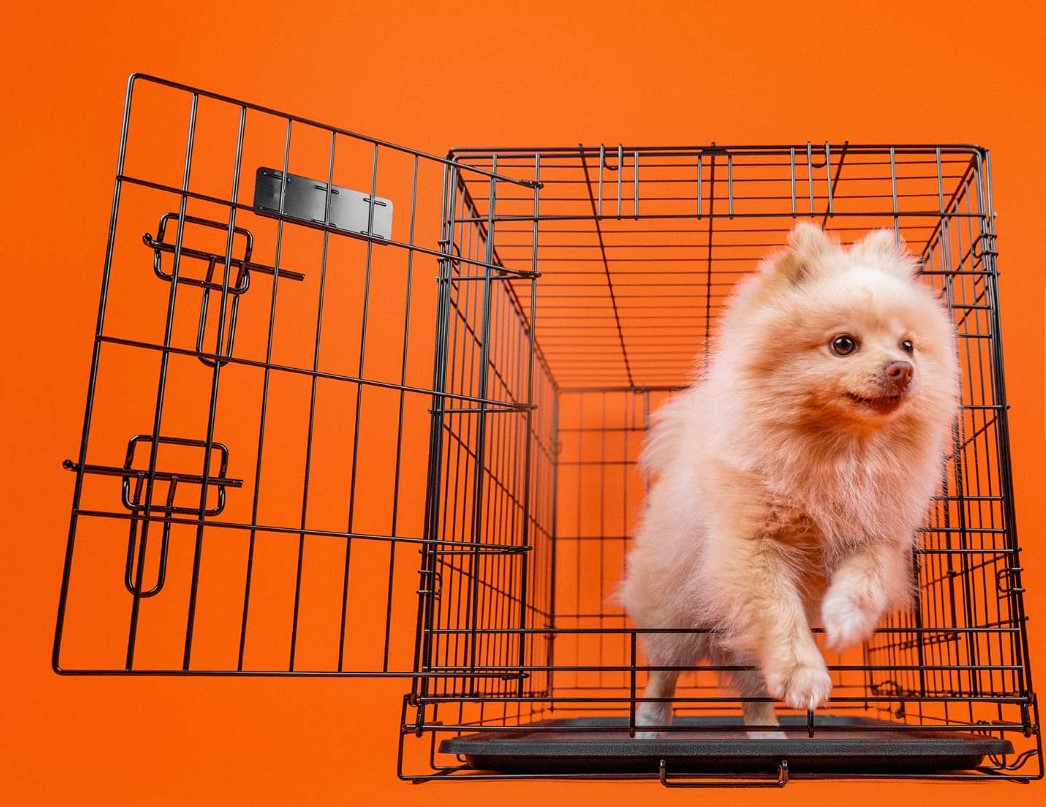 Jaula Metálica Dobrável para Cães - Dashi Dog Crate