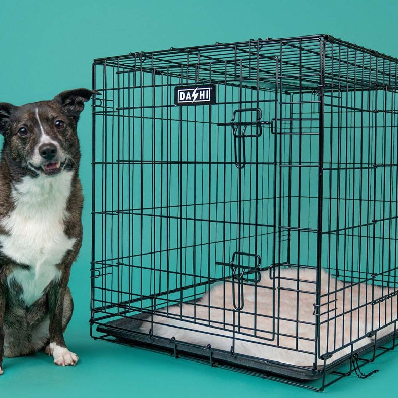 Jaula Metálica Dobrável para Cães - Dashi Dog Crate
