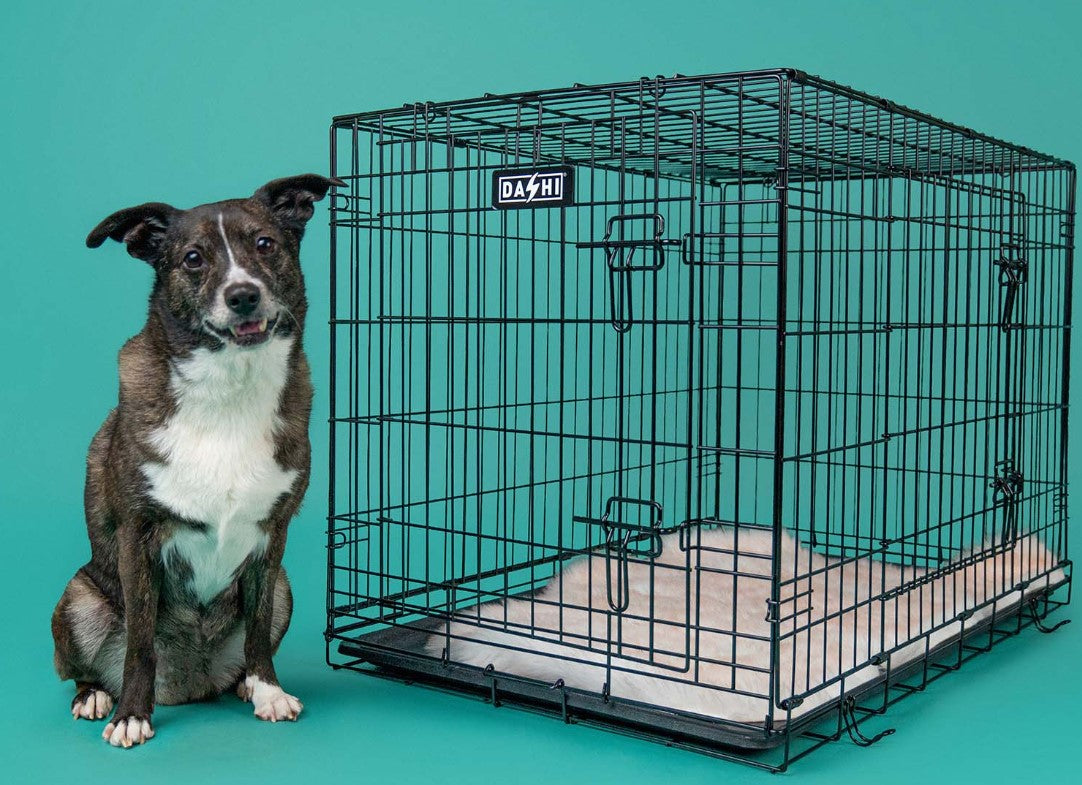 Jaula Metálica Dobrável para Cães - Dashi Dog Crate