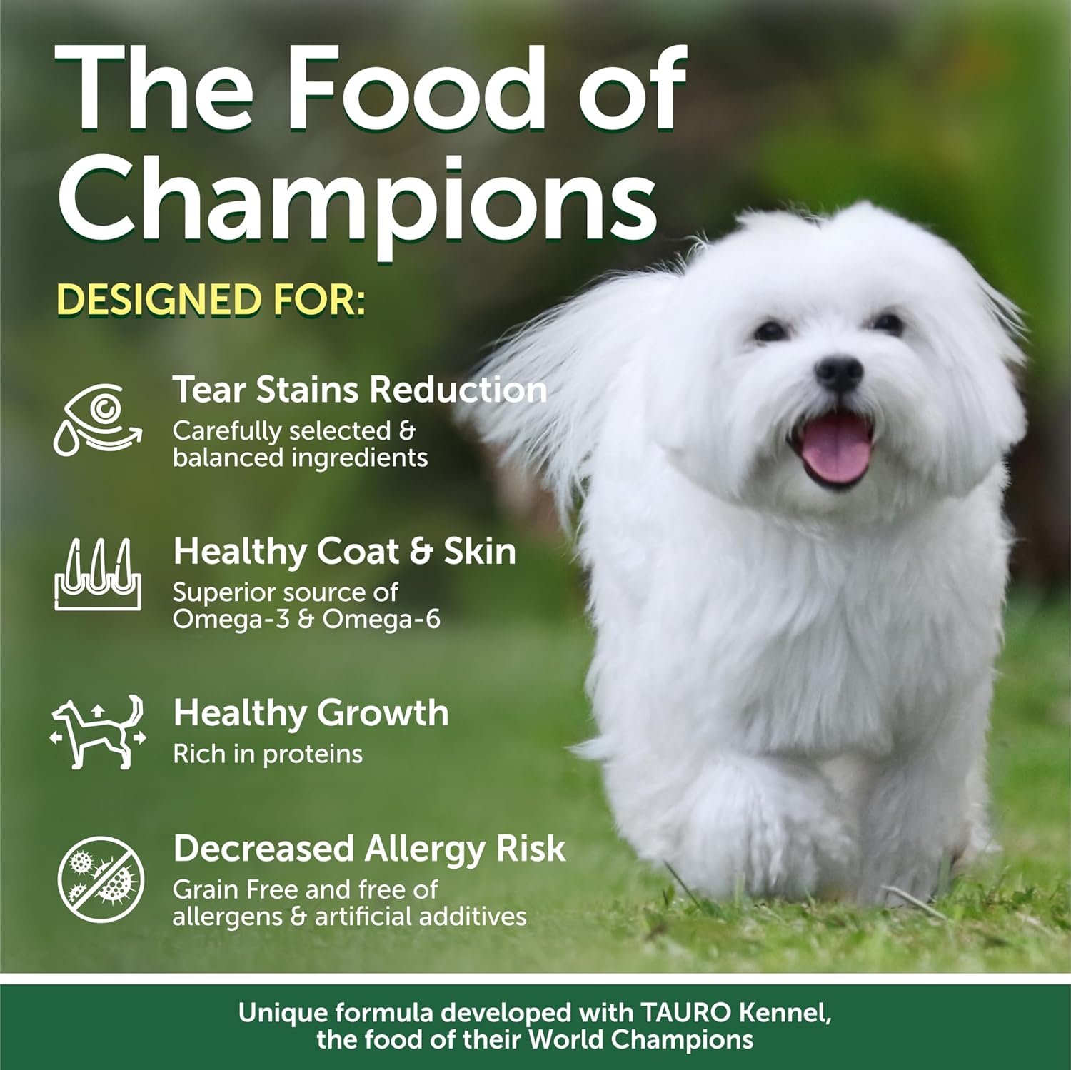 Nature’s Protection Superior Care para Cão Júnior de raças pequenas e mini com pelagem branca | Peixe branco