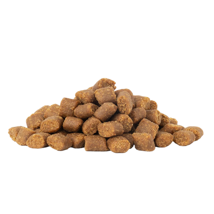 Cold-Pressed Country Roast, Ração seca para cães -  Peixe com Abóboras & Ervas