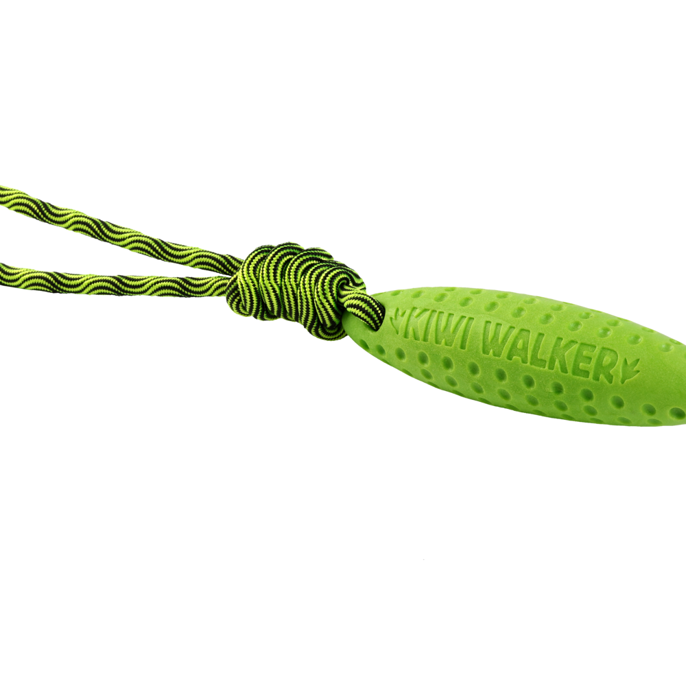 Kiwi Walker Zepplin