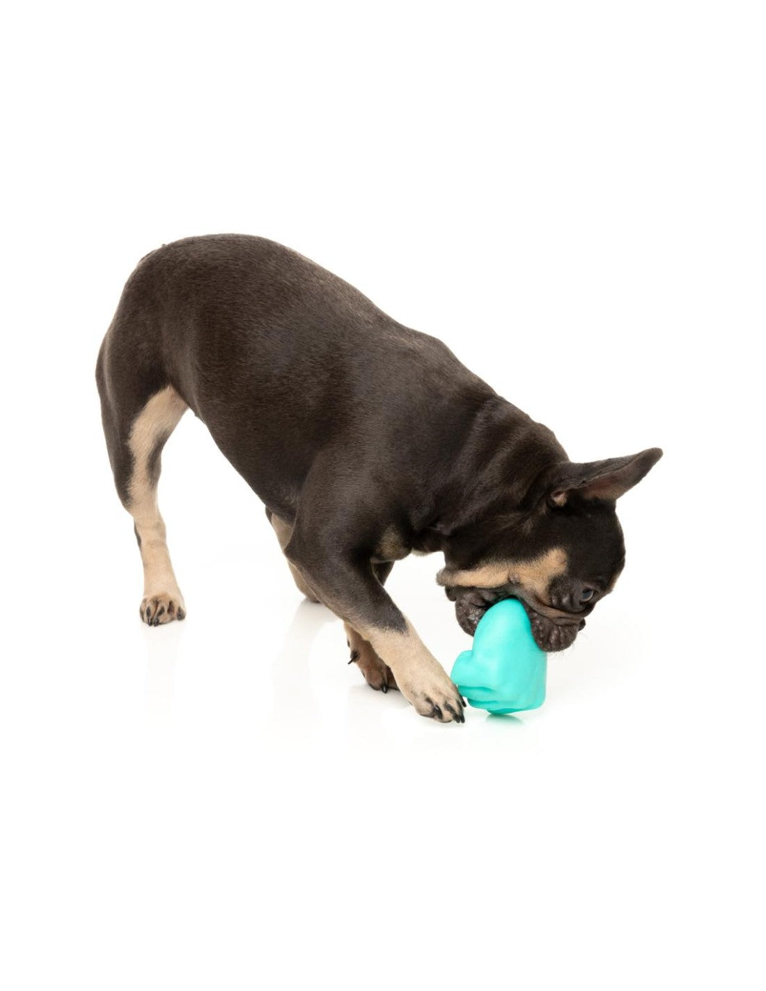 FuzzYard Brinquedo Interativo para Roer com Dispensador de Snacks – Knuckle Sandwich
