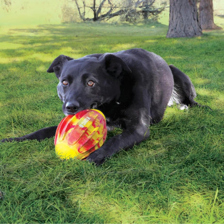 KONG Flexball Sport Football - Tamanho M