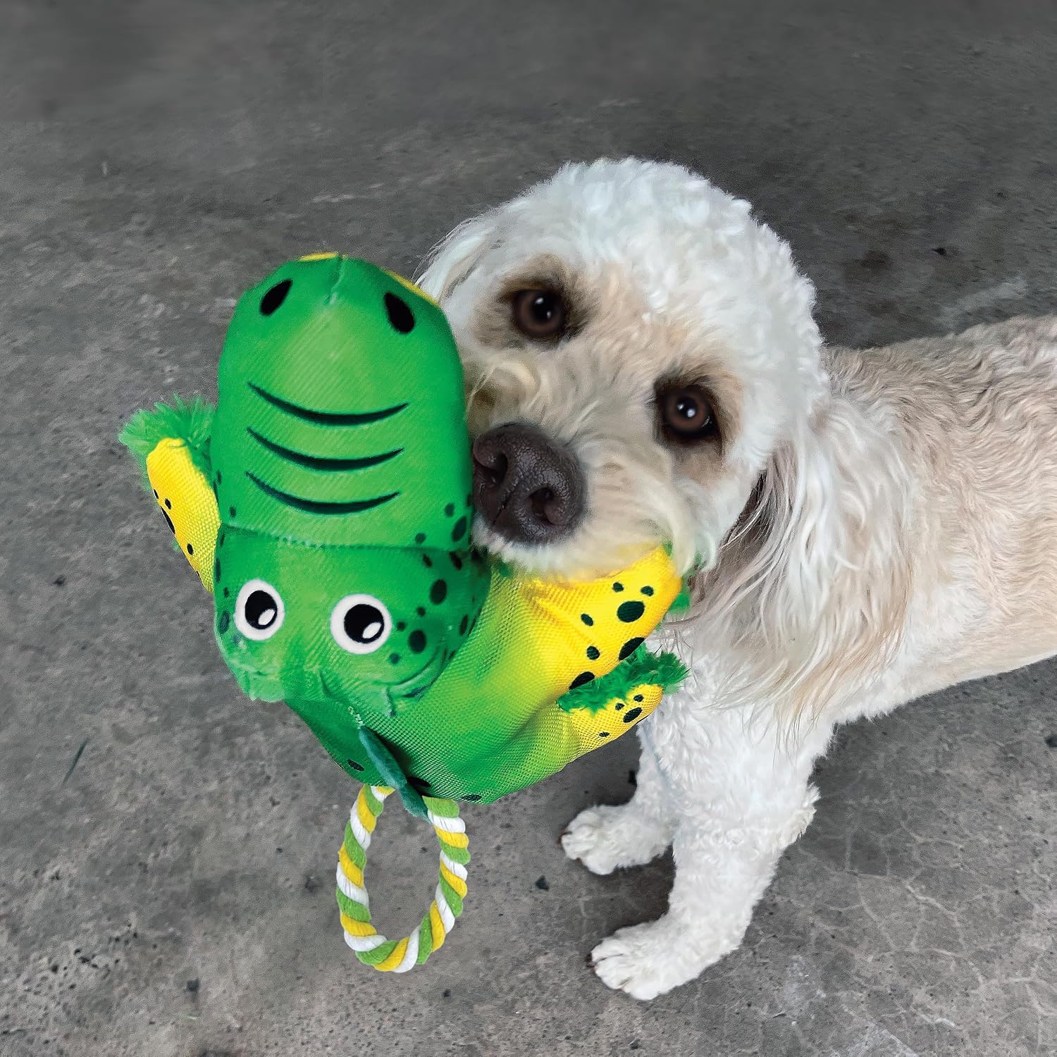 KONG Cozie Tuggz Jacaré Médio/Grande - Brinquedo para cão