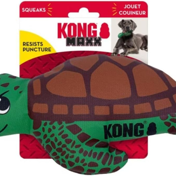 KONG Maxx Tartaruga M