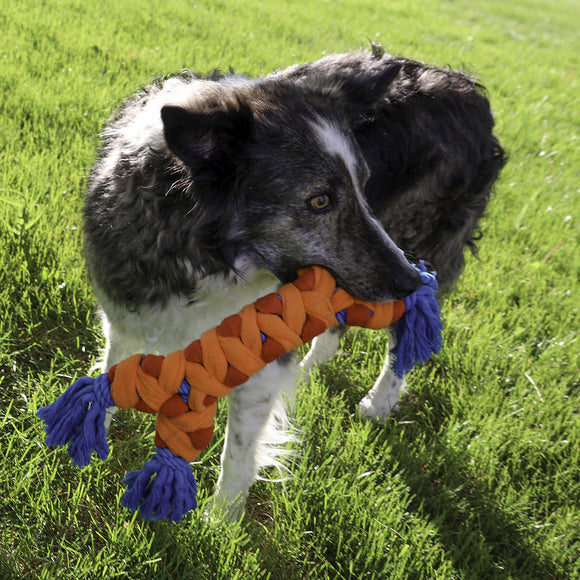 KONG Rope Rally Bone - Brinquedo para cão