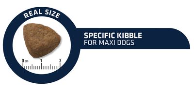 Advance Ração Cão Maxi Adult Frango & Arroz | 14 kg - DOGGIE STORE