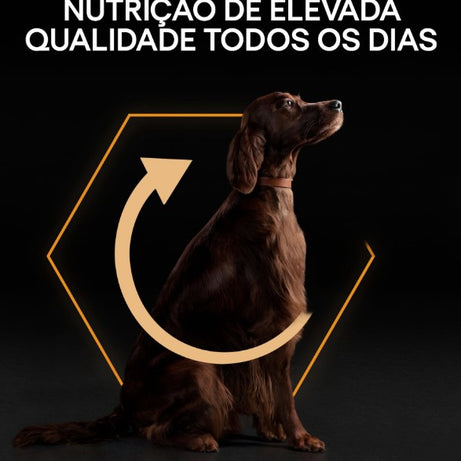 Pro Plan Dog OptiBalance Large Athletic Adult Chicken | 14 Kg - Ração seca para cão adulto de porte grande e atlético - Frango