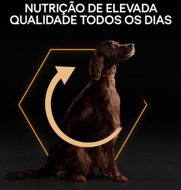Pro Plan Dog OptiBalance Large Athletic Adult Chicken | 14 Kg - Ração seca para cão adulto de porte grande e atlético - Frango