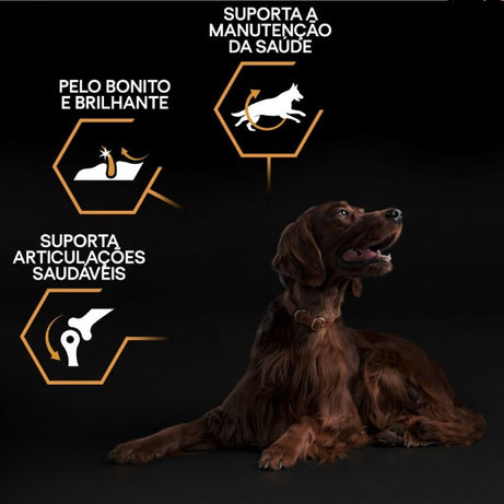 Pro Plan Dog OptiBalance Large Athletic Adult Chicken | 14 Kg - Ração seca para cão adulto de porte grande e atlético - Frango