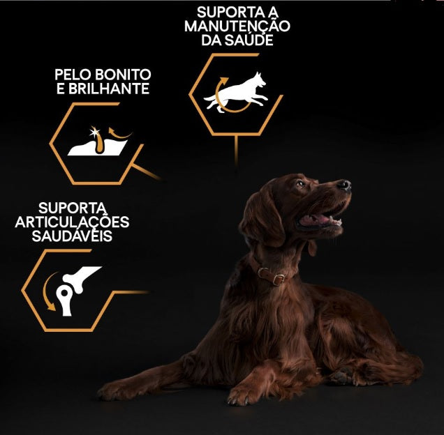 Pro Plan Dog OptiBalance Large Athletic Adult Chicken | 14 Kg - Ração seca para cão adulto de porte grande e atlético - Frango