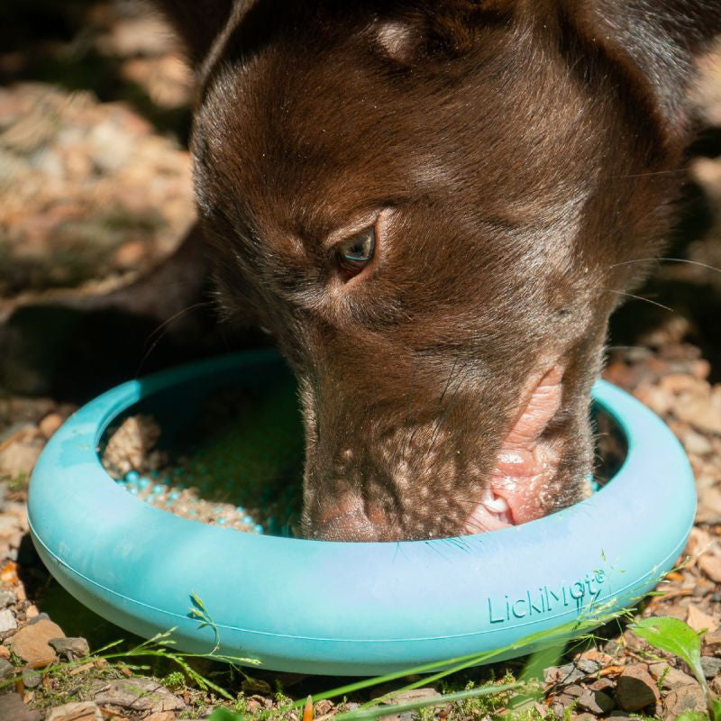 LickiMat UFO – Tapete Interativo com Ventosas para Cães