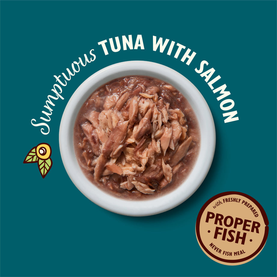 Lily's Kitchen Christmas Feast - Turkey Paté for Cats - Christmas Edition