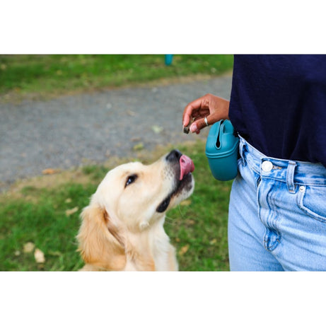 Juguete masticable circular para perros Kong Dotz